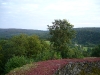 The castle of Herbeumont, Ardennes, 3