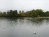 The Round pond, Hyde park, 1