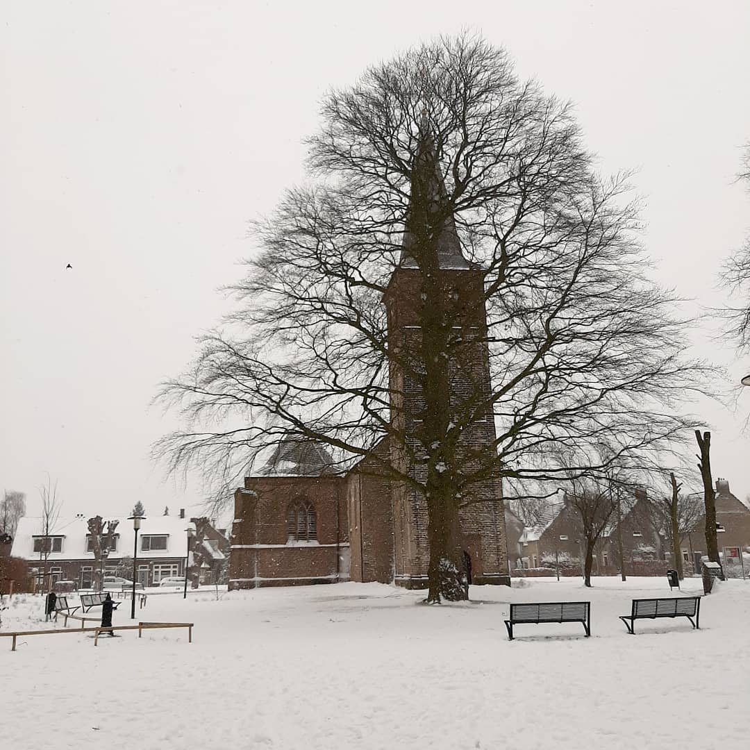 ---Netherlands--- Winter landscape, Gelderland