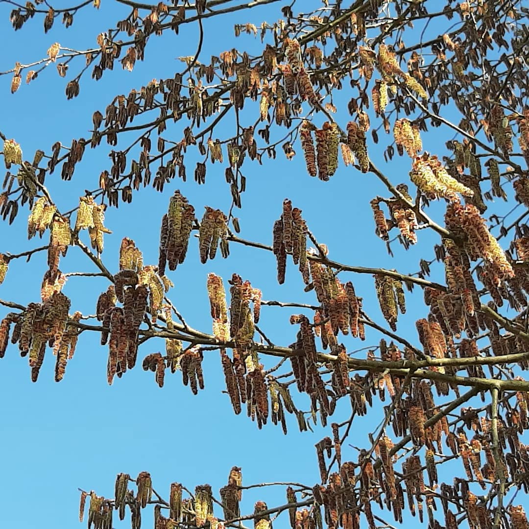 ---Netherlands--- Bijland, Gelderland