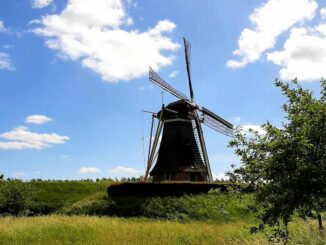Windmill/windmolen, Betuwe
