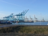 Maasvlakte-2, 01.2016