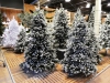 Christmas Show in Duiven, Netherlands, 2017-004