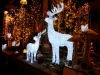 Christmas Show in Duiven, Netherlands, 2017-006