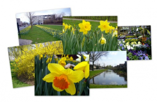 spring-in-velp-netherlands