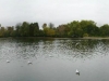 The Round pond, Hyde park