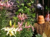 ideas-for-garden-chelyabinsk-014