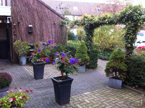 front-yard