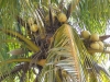 Kumasi-Ghana-13
