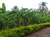 Kumasi-Ghana-2