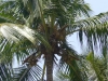 Kumasi-Ghana-14