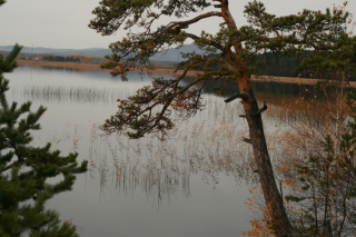 lake_nearby_kyshtym
