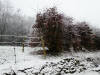 Laforet-Belgium-12.2017-003