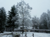 Laforet-Belgium-12.2017-004