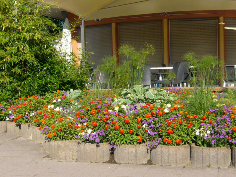Niederbronn-Les-Bains-3
