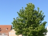 Reutlingen, Germany