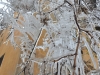 Icy Chelyabinsk, 11.2014