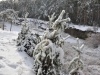 Snow in the park named after Yuri Gagarin, Chelyabinsk, 11.2014