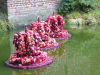 Rose festival 2010 in Lottum Netherlands-037