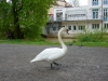 Tubingen, Germany-023