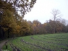 het-veld-verwolde