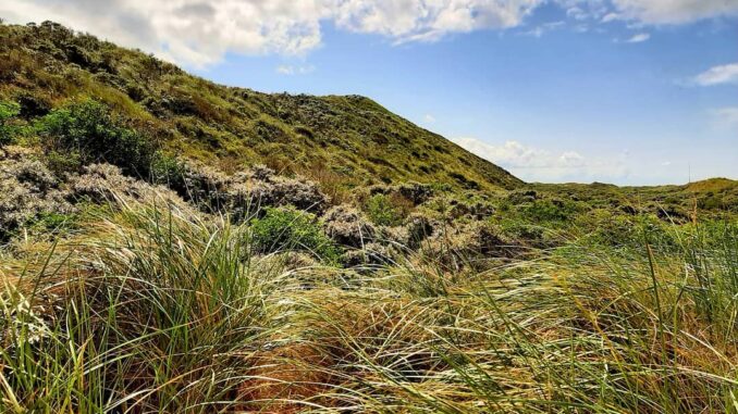 Dunes, Burgh-Haamstede