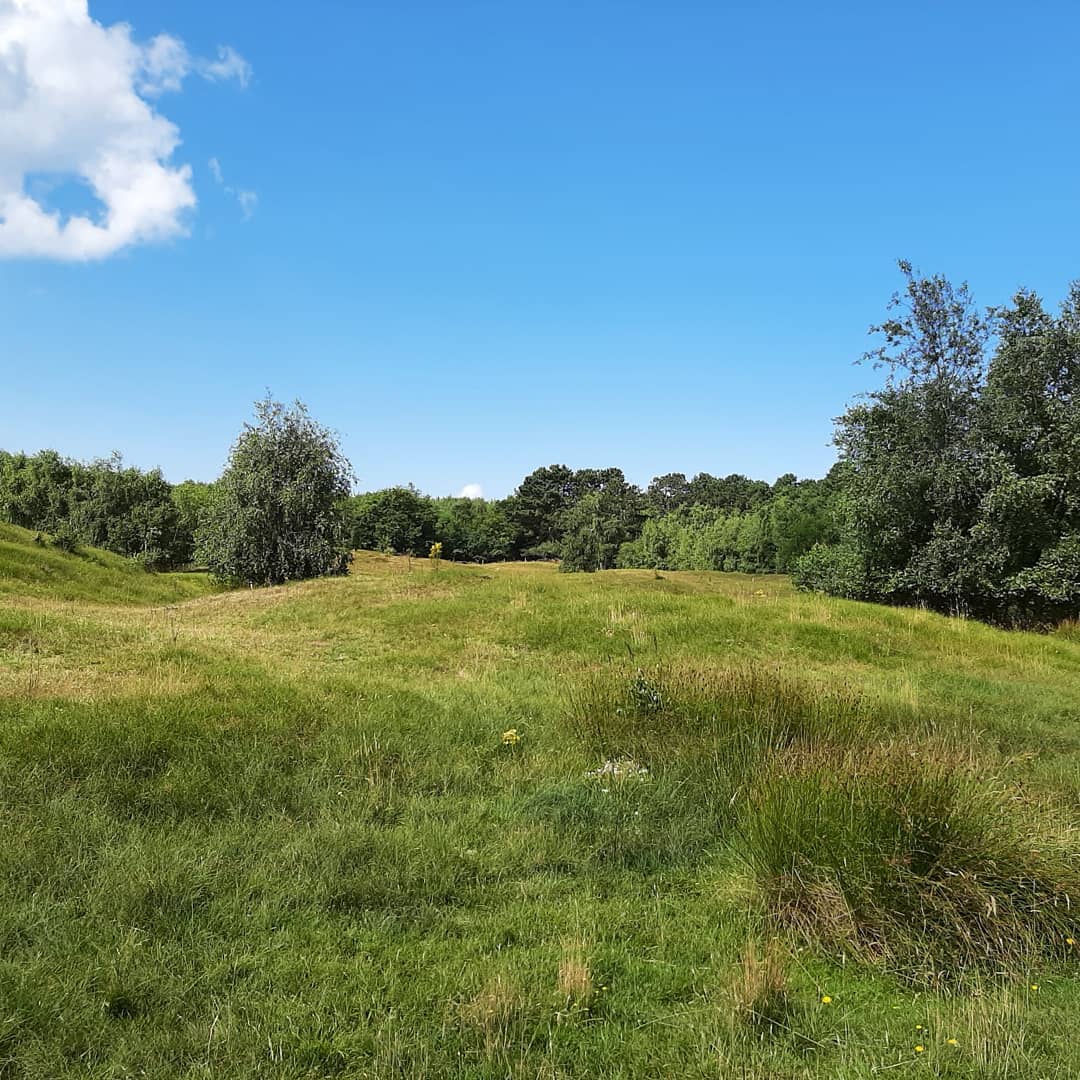 ---Netherlands--- Het groene duin, Zeeland