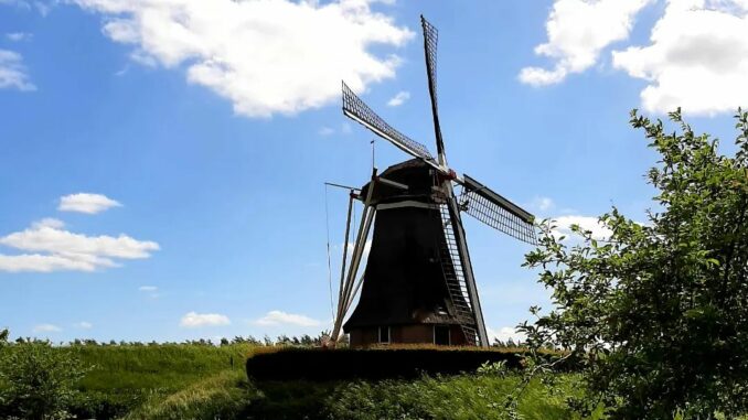 Windmill/windmolen, Betuwe