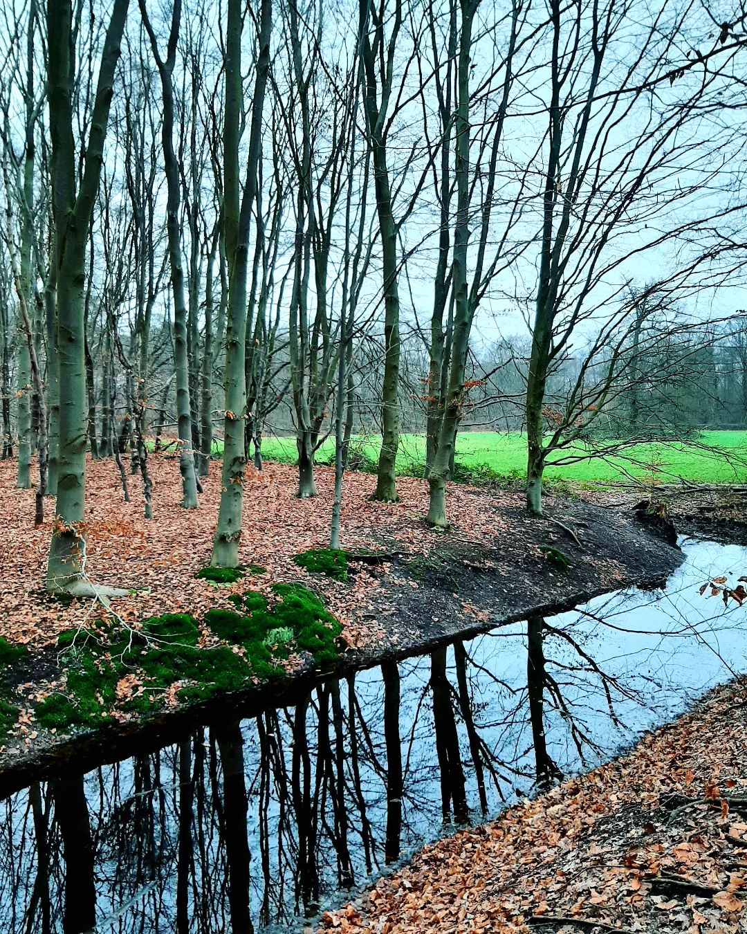 Netherlands: December wandeling in Eerbeek, Veluwe, Gelderland
