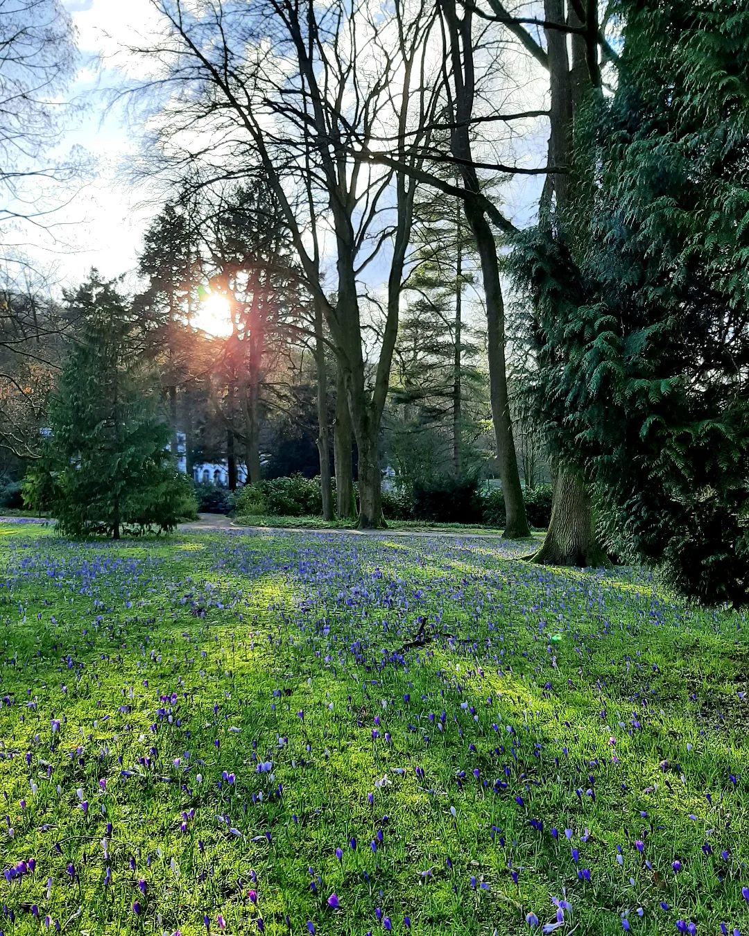 Germany: Evening walk in Kleve