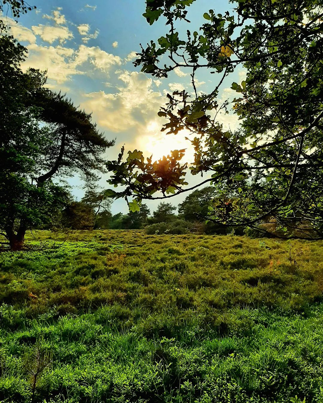 Nederland: Zonsondegang op de Posbank, Gelderland