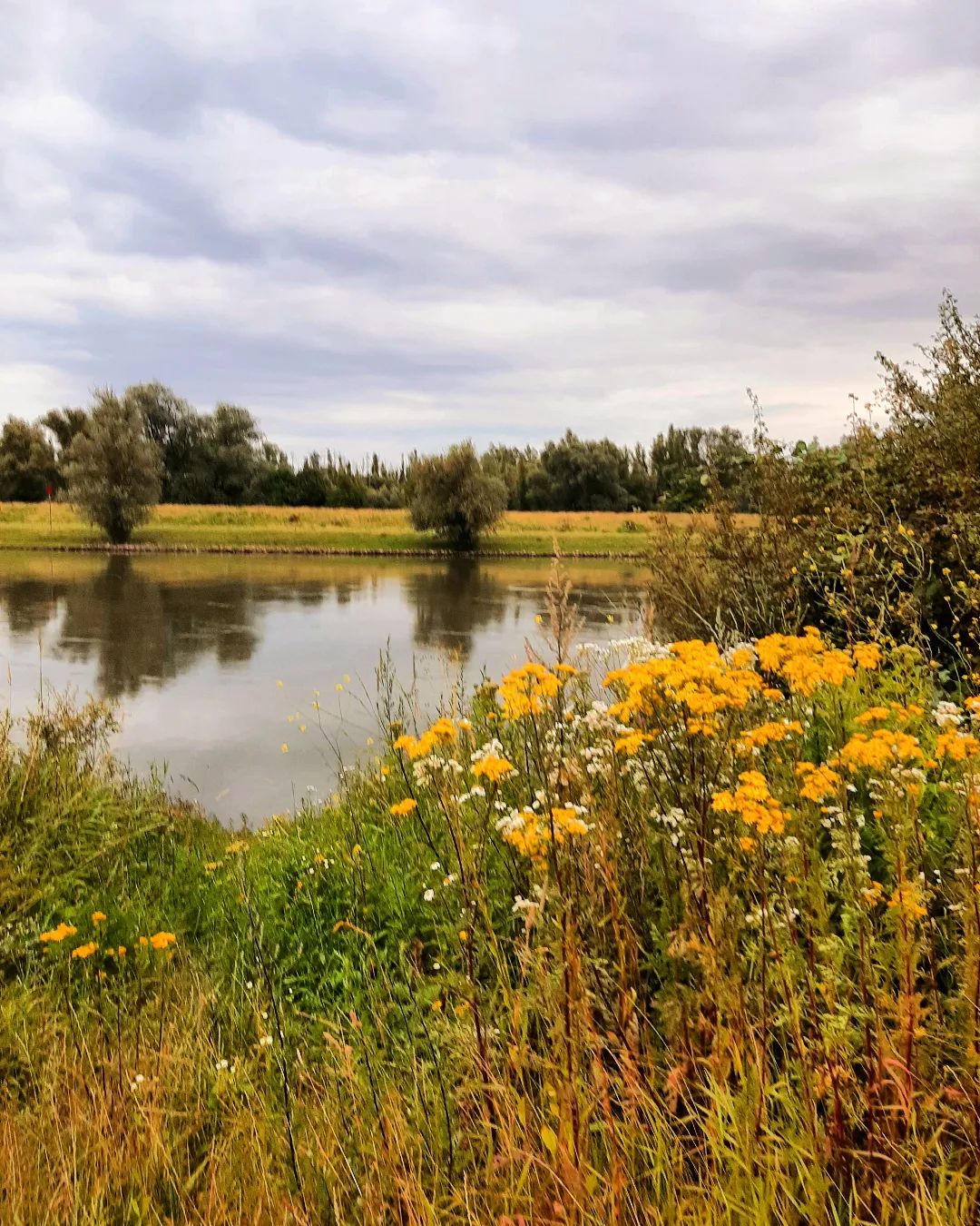 Nederland: Mooie avond bij de IJssel, Veluwezoom, Gelderland