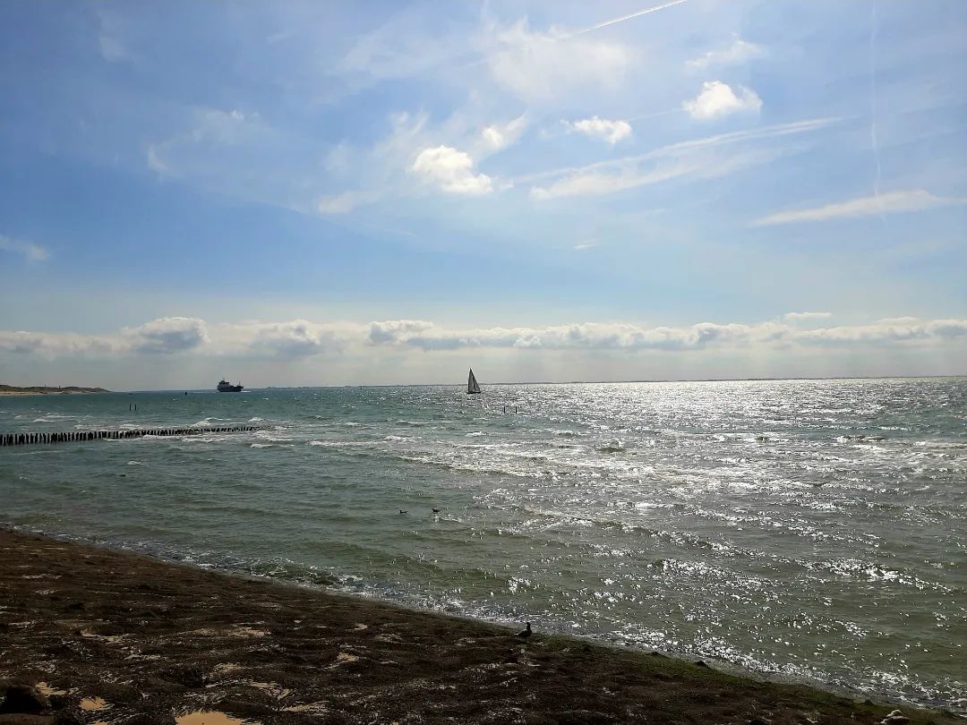 Nederland: De zee bij Zoutelande, Zeeland