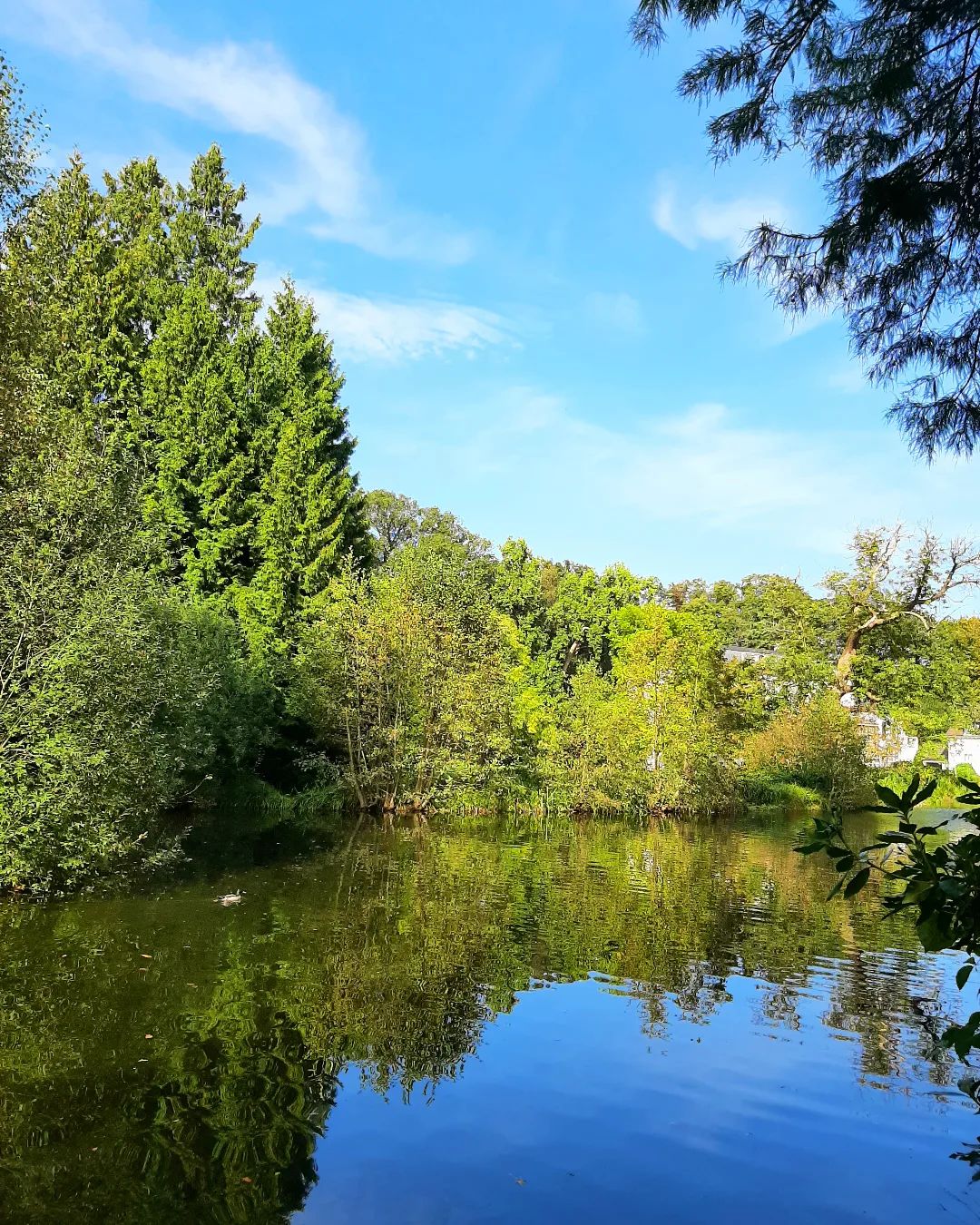 Nederland: Park Eerbeek, Veluwe, Gelderland
