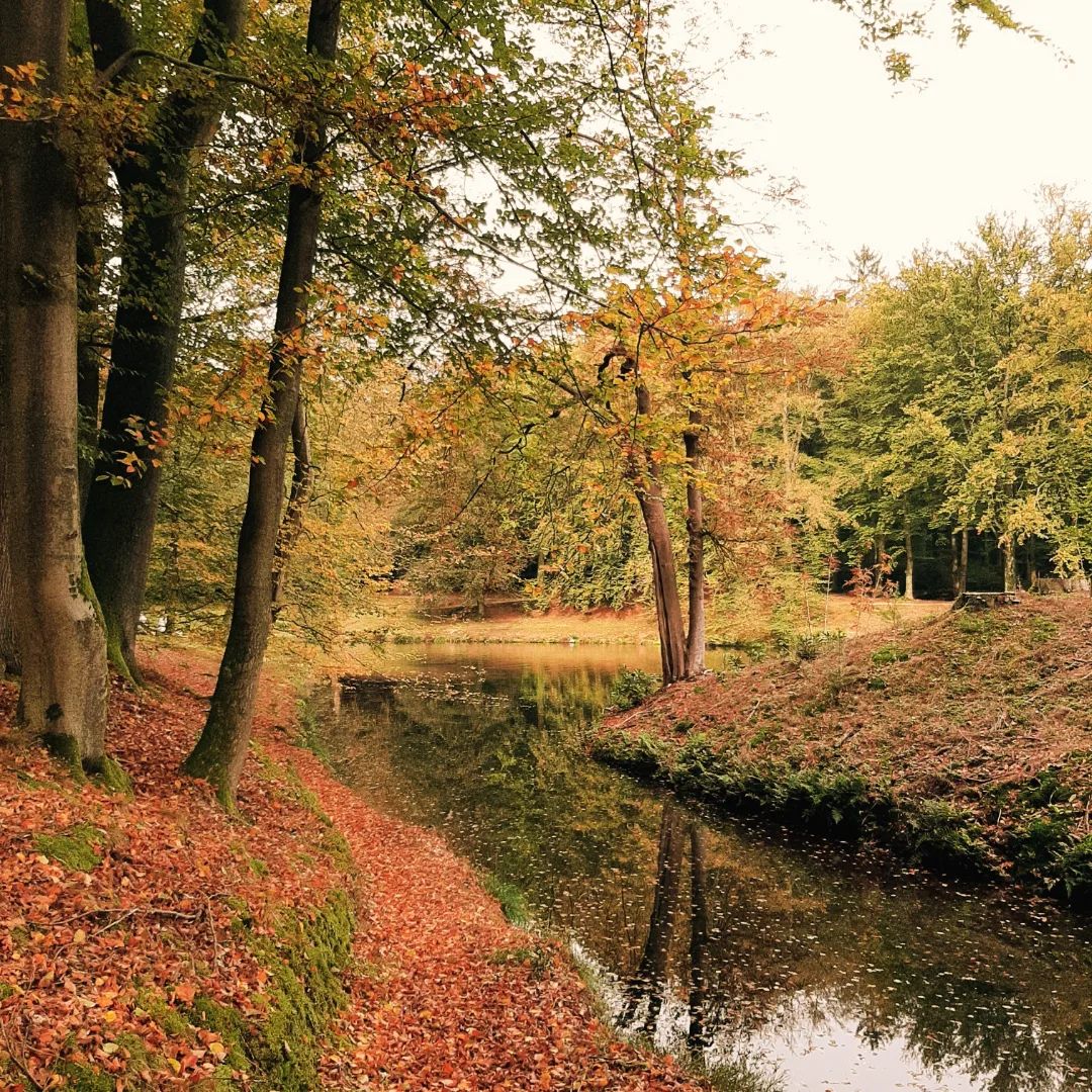 Nederland: Park Rosendael in oktober, Gelderland
