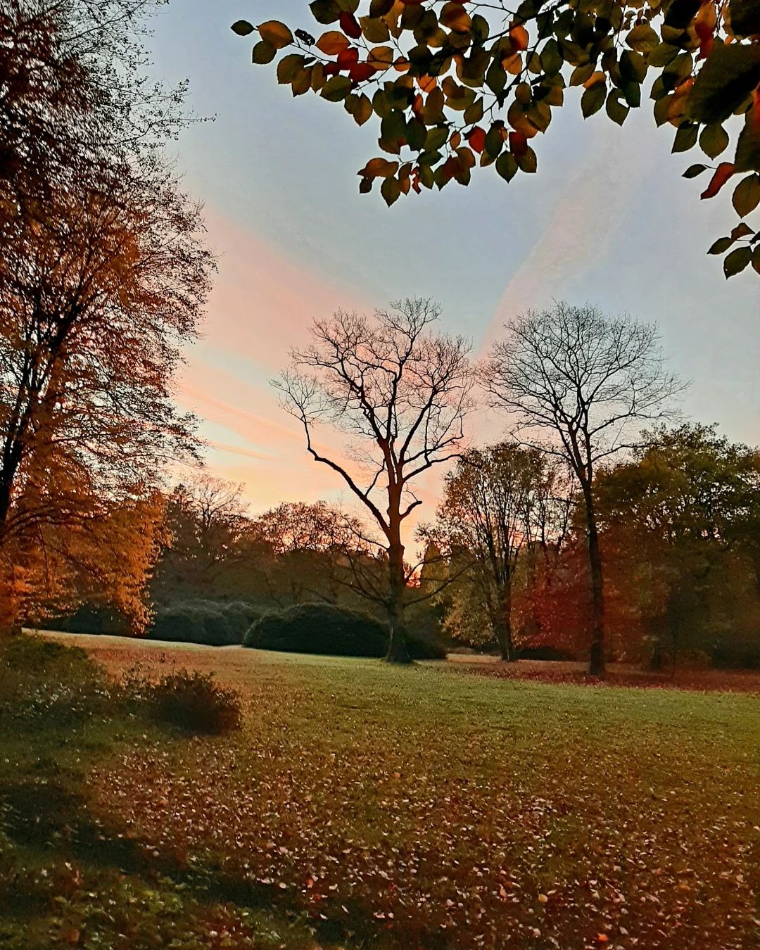 Nederland: Avondkleuren, Veluwezoom, Gelderland