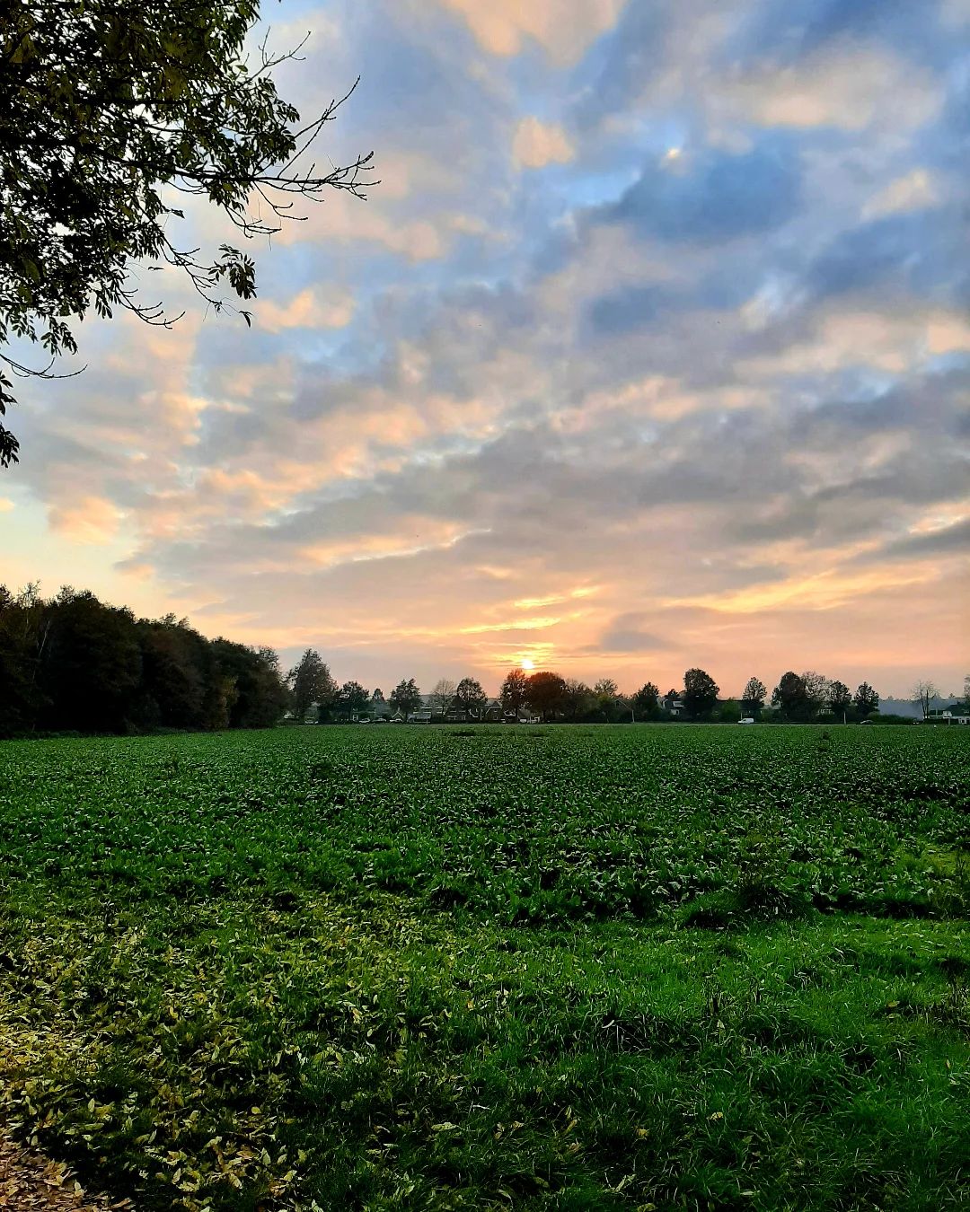 Nederland: 's Avonds in Achterhoek, Gelderland