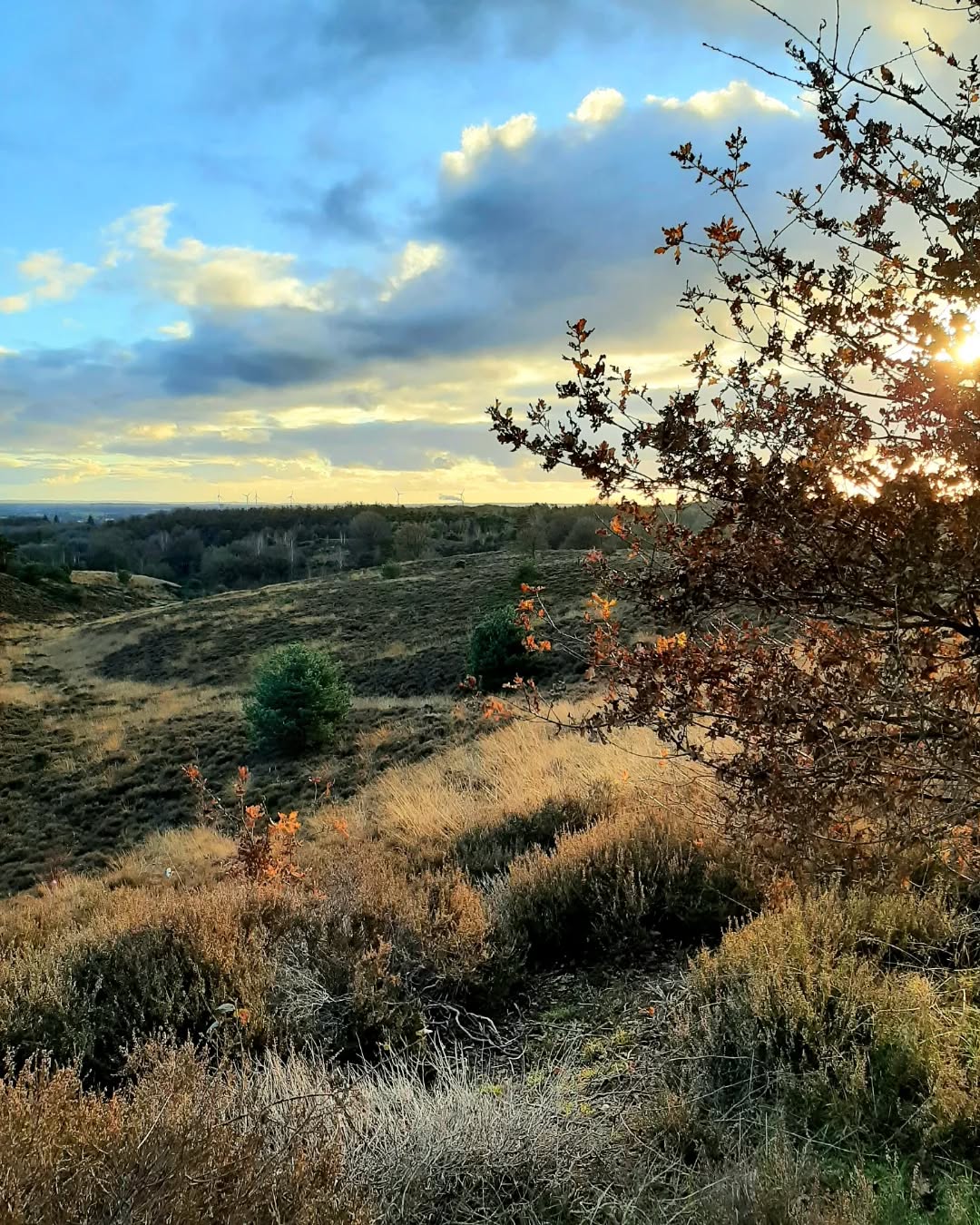 Nederland: Posbank in november, Gelderland
