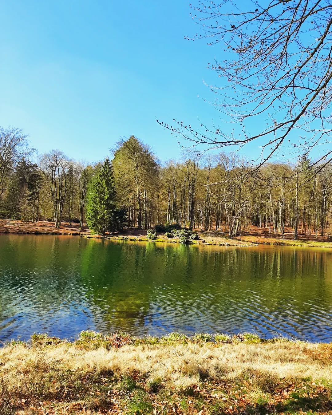 Nederland: Park Rosendael in maart, Veluwezoom, Gelderland