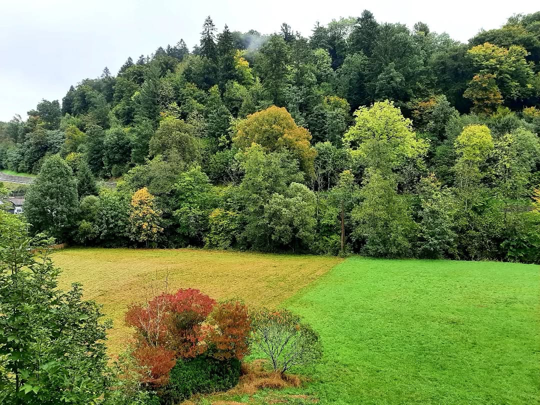 Germany: Eifel, North Rhine-Westphalia