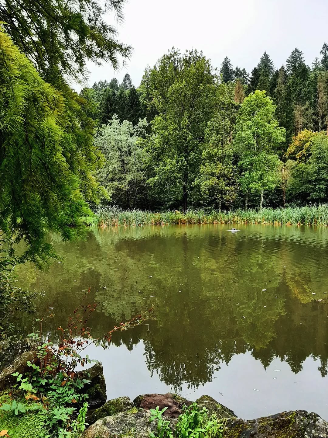 Germany: Park in Daun, North Rhine-Westphalia