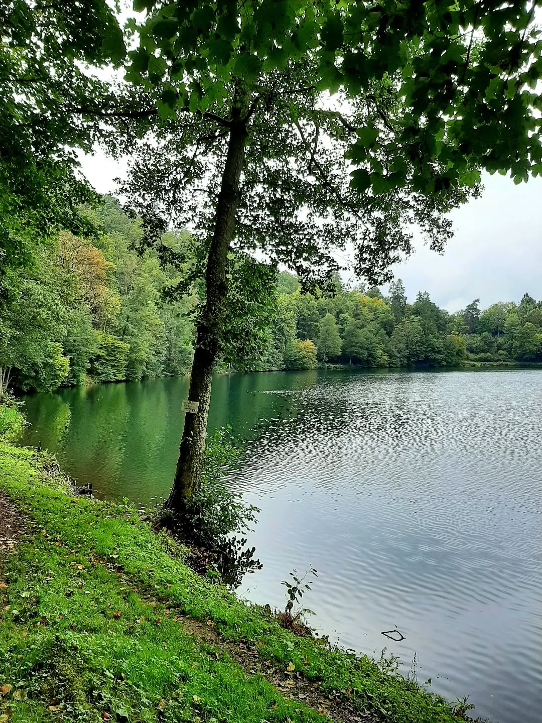 Germany: The Gemündener Maar, Daun, Rhineland-Palatinate