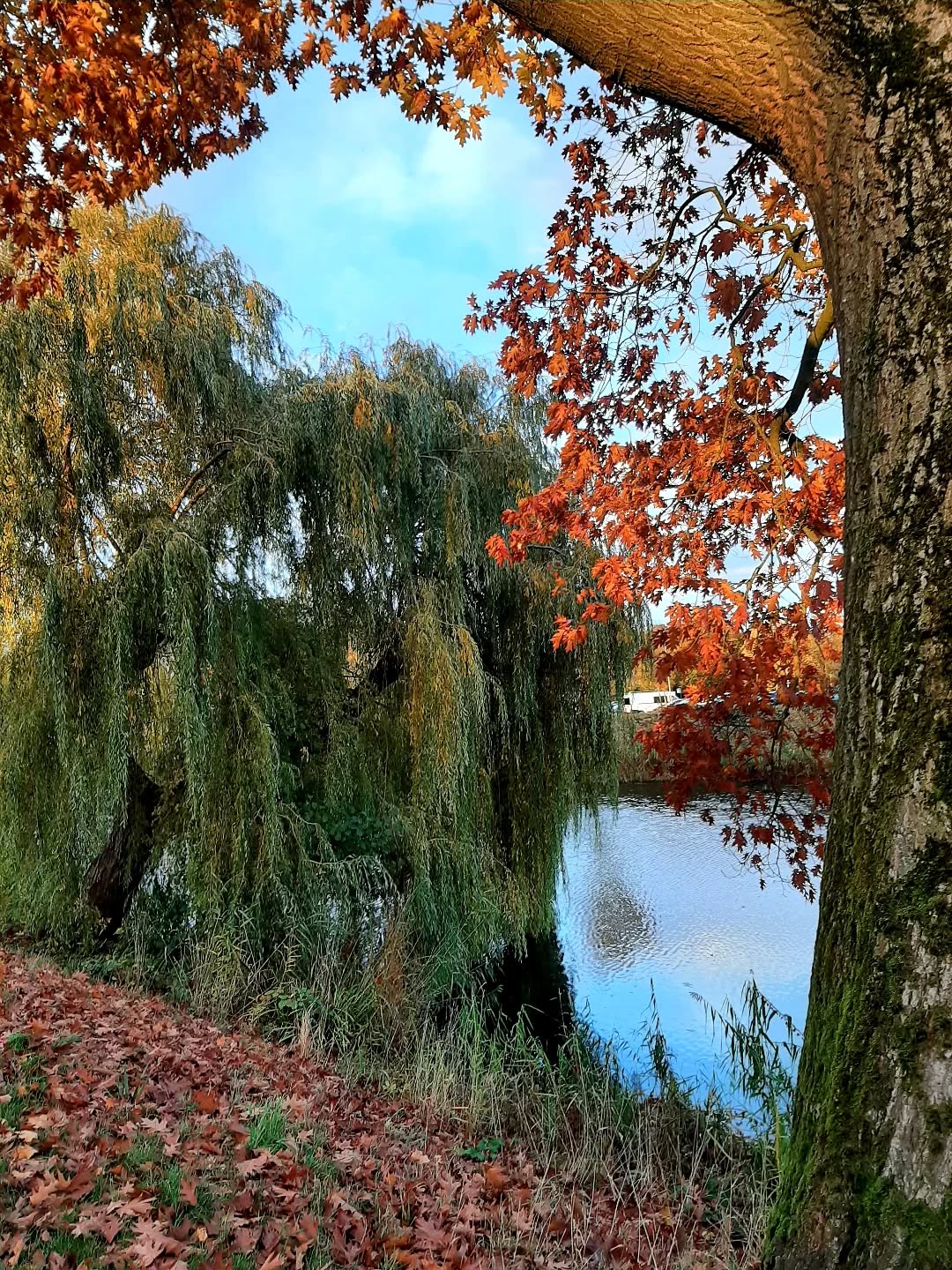 Nederland: s' Avonds bij de vijver, Doesburg, Achterhoek, Gelderland
