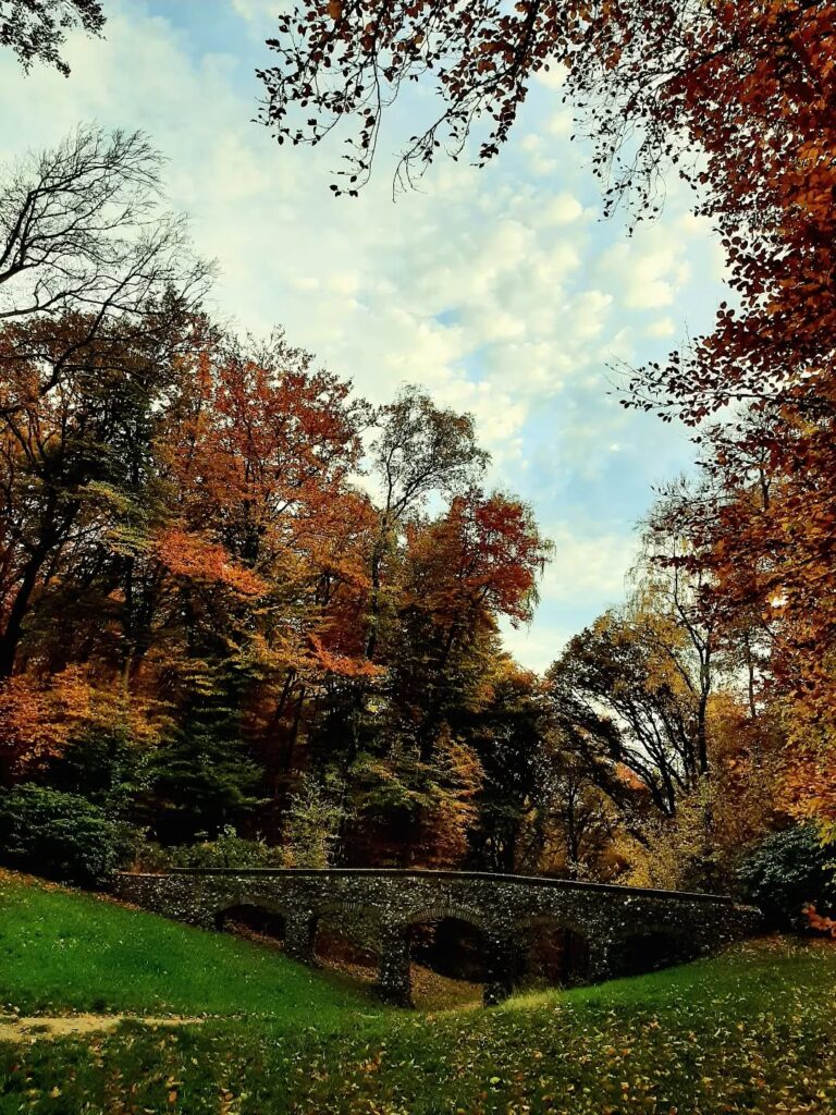 Tafereel met een brug, Dunoplateau