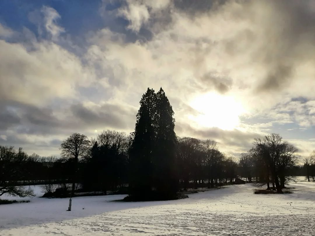 Nederland: Sneeuw op de Veluwezoom, Gelderland