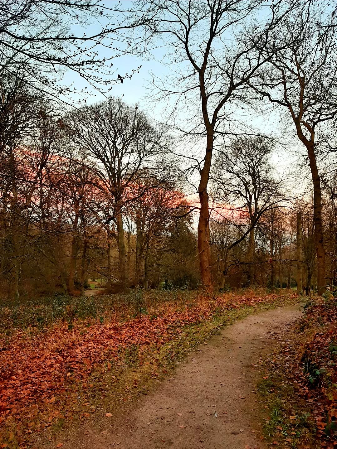 Nederland: 's Avonds op de Veluwezoom, Gelderland