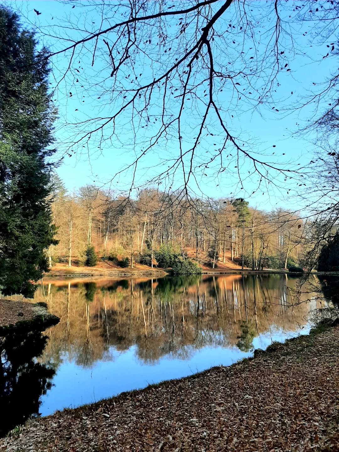 Nederland: Zonnige dag in het park Rosendael, Gelderland
