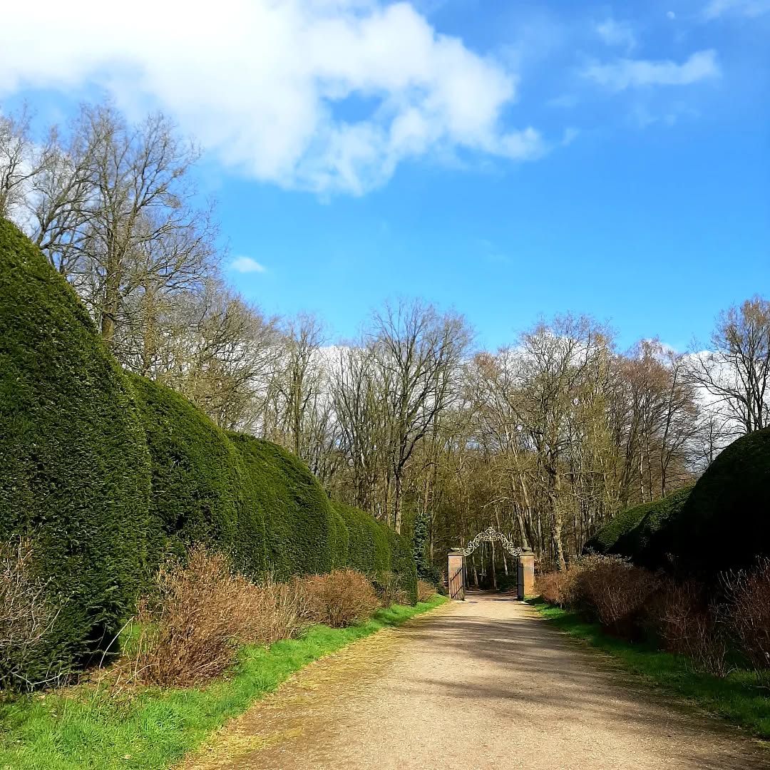 Nederland: Duno plateau, Veluwezoom, Gelderland