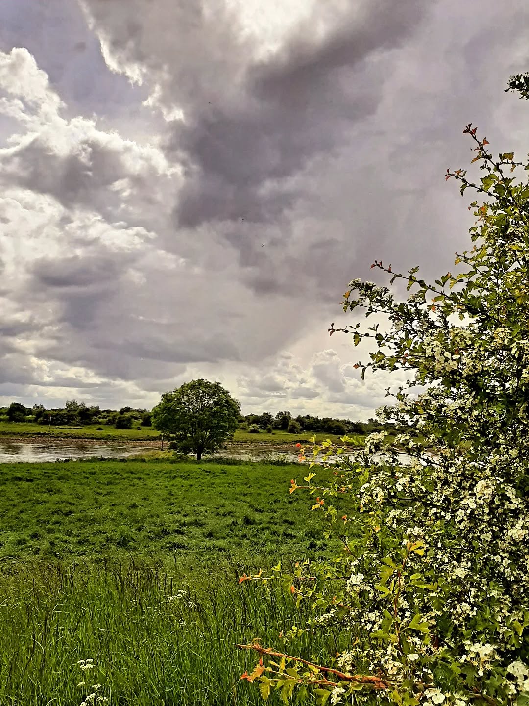 Nederland: Uiterwaarden bij de IJssel, Veluwezoom, Gelderland