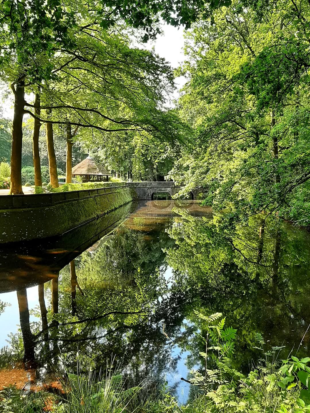 Nederland: Doorkijk, Veluwezoom, Gelderland
